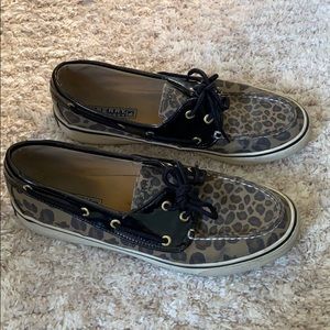 Cheetah sperrys